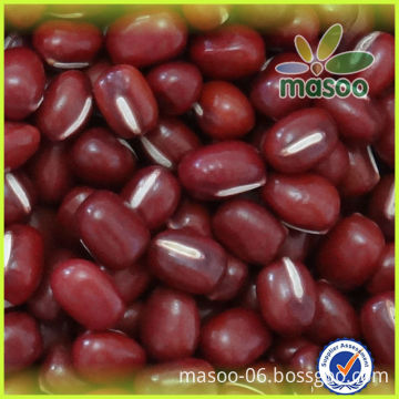 China little/ small dark red beans